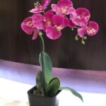 J and H Dental Associates, PLLC - Photo 7