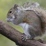 Aimee Kraft, DDS - Photo 4