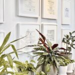 Heights Dental - Photo 5