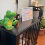 Brooklyn Oak Dental Care - Pediatrics - Photo 6