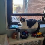 Stephen R. Ramsay DMD, P.L.L.C. - Photo 2