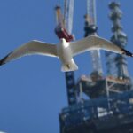 Stephen R. Ramsay DMD, P.L.L.C. - Photo 7