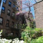 SMP DENTAL P.C. - Photo 6