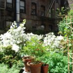 SMP DENTAL P.C. - Photo 7