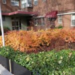 Eighth Avenue Dental Associates - Photo 2