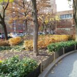 Eighth Avenue Dental Associates - Photo 5