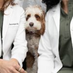 Livingart Dentistry - Brooklyn Dentist - Photo 4