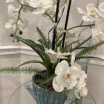 Riverdale Comprehensive Dentistry - Photo 5