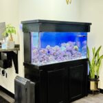 Wood Dental Associates - Photo 5