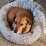 Buffalo Dental Group - Photo 5