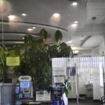 Brighton Family Dental Group - Photo 1