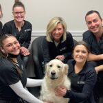 Buffalo General Dentistry | Implant, Sedation & Cosmetic - Photo 7