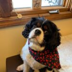 West Seneca Dental - Photo 5