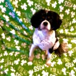 West Seneca Dental - Photo 6