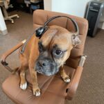 Nikole R. O'Bryan, DMD - Photo 3