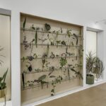 The Ivory Dental Co. - Photo 5