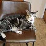 DeRose Dental - Photo 6