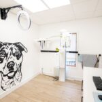 Manzella Orthodontics - Photo 7