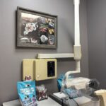 Paris John J DDS - Photo 7