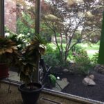 East Avenue Dentistry PLLC - Photo 5