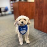 Westfall Dental Studio - Photo 4