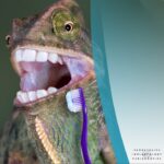 Progressive Implantology & Periodontics - Photo 2