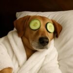 Linden Oaks Dental - Photo 2