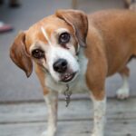 Landmark Dental - Photo 2