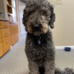 Juliano Family Dental - Photo 4