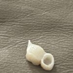 Azita Anissi, DDS - Photo 7