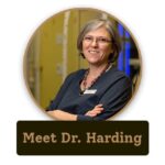 Small to Tall Dentistry for Children, PLLC: Alison Harding, DDS - Photo 6