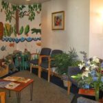 Steven G. Damelio, DMD - Photo 6