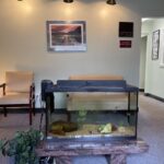 Albany Advanced Dental Care - Photo 1