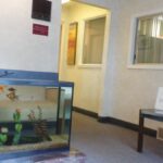 Albany Advanced Dental Care - Photo 3