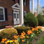 A.R. Wynnykiw, DDS, PLLC - Photo 3