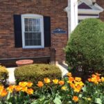 A.R. Wynnykiw, DDS, PLLC - Photo 5