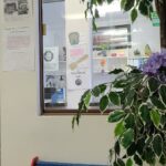 Albany Family Dentistry PC - Photo 6