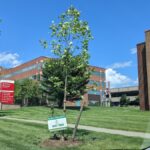Emergency Department - St. Peter's Hospital - Photo 3
