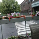 Center for Disability Services - Photo 1