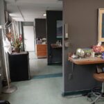 Dr. Carmen D. Arzola, DDS - Photo 3