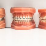 Modern Orthodontics - Photo 4