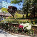 Montefiore Centennial Building - Photo 3
